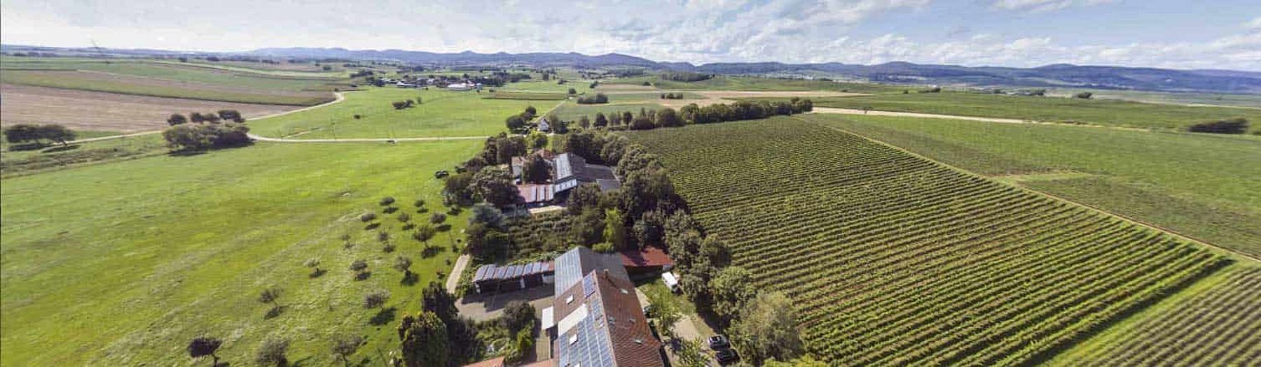 Eichenhof in der Pfalz - Urlaub in der Idylle